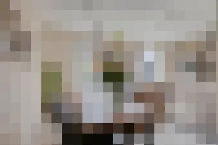 Sterrenkroos 36 Roelofarendsveen thumbnail 8