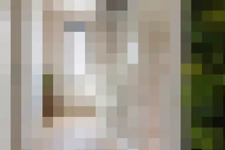 Sterrenkroos 39 Bergen op Zoom thumbnail 17