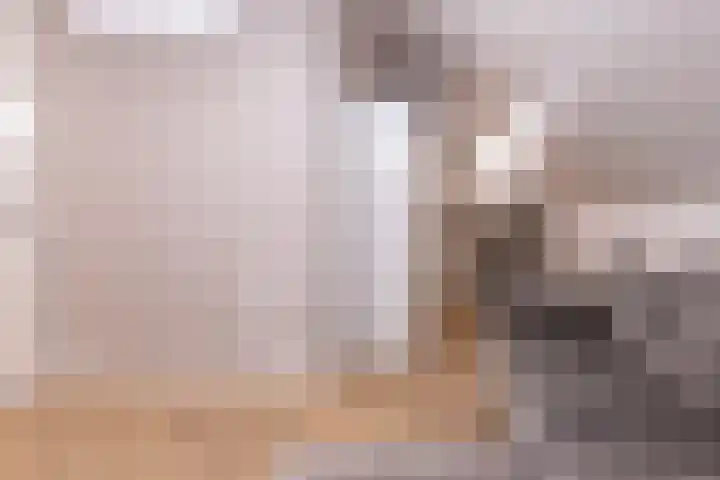 Sterrenkroos 39 Bergen op Zoom thumbnail 30
