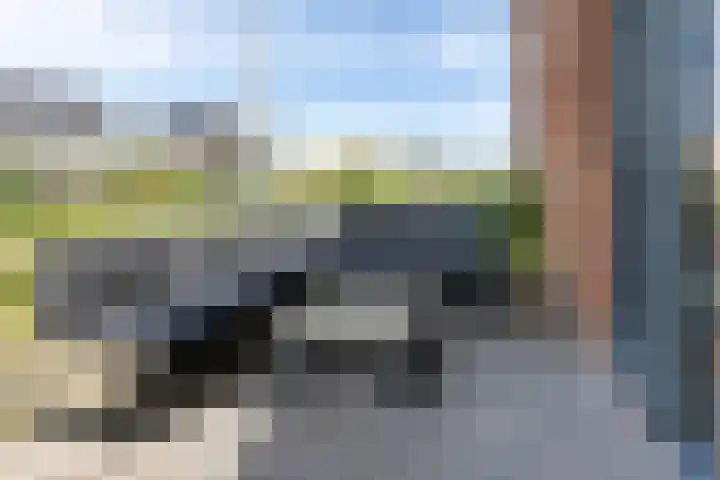 Sterrenkroos 39 Bergen op Zoom thumbnail 33