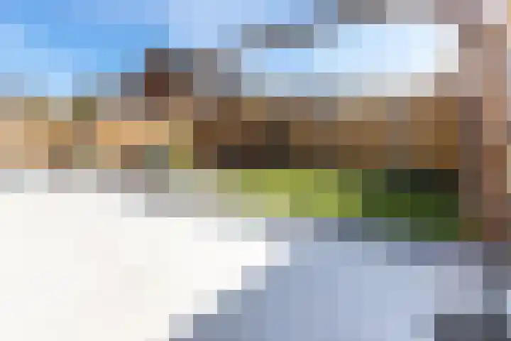 Sterrenkroos 39 Bergen op Zoom thumbnail 37