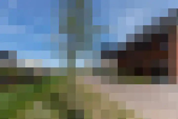 Sterrenkroos 39 Bergen op Zoom thumbnail 39