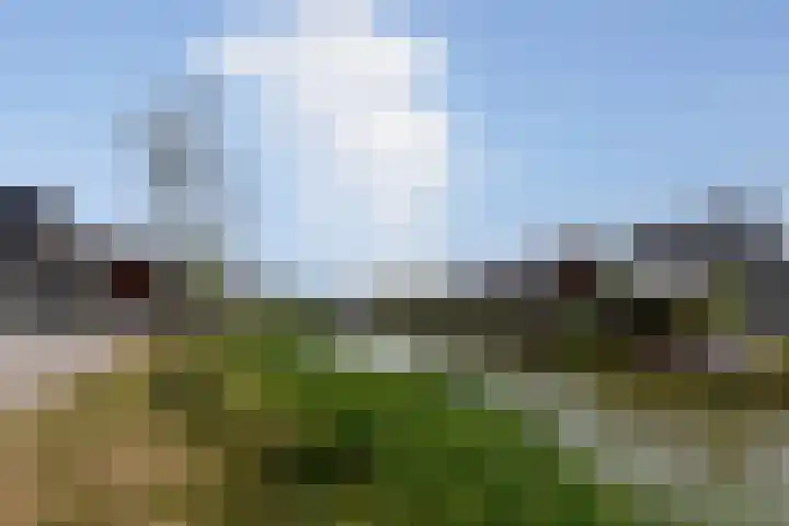 Sterrenkroos 39 Bergen op Zoom thumbnail 40