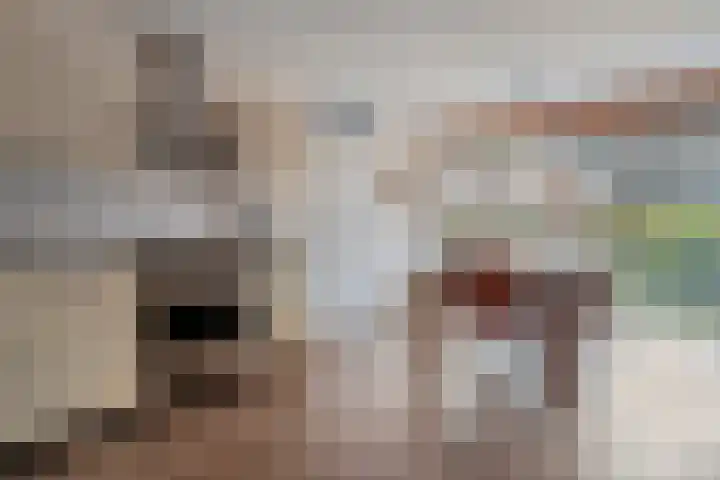 Sterrenkroos 5 Zwolle thumbnail 17