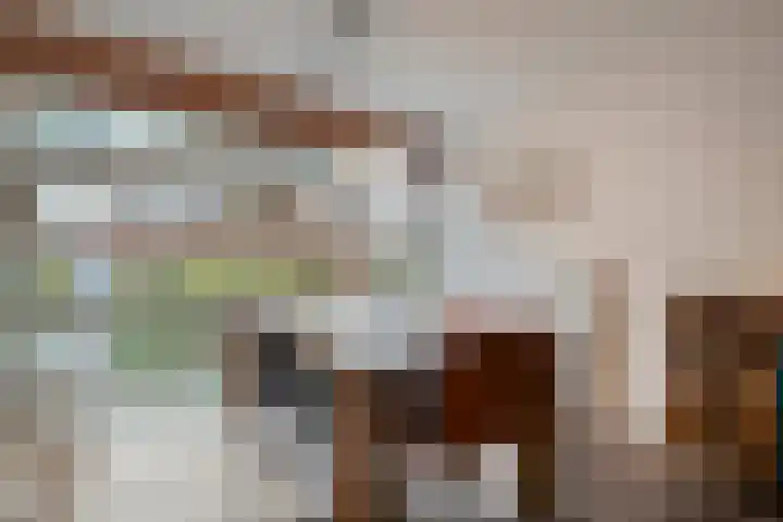 Sterrenkroos 5 Zwolle thumbnail 19