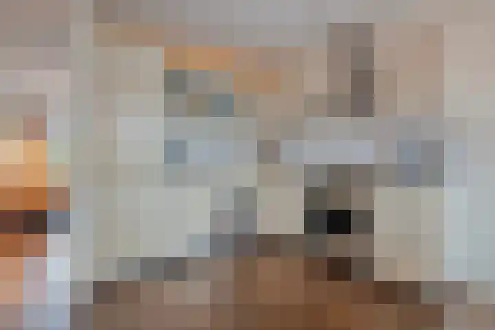 Sterrenkroos 5 Zwolle thumbnail 21