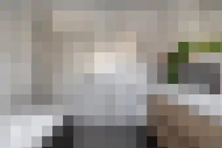 Sterrenkroos 5 Zwolle thumbnail 29