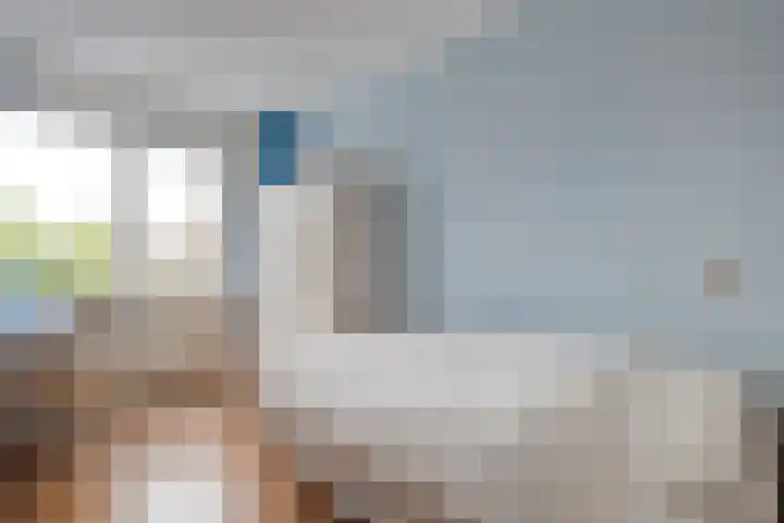 Sterrenkroos 5 Zwolle thumbnail 31
