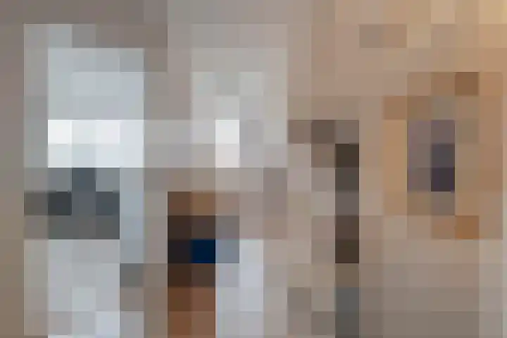 Sterrenkroos 5 Zwolle thumbnail 33