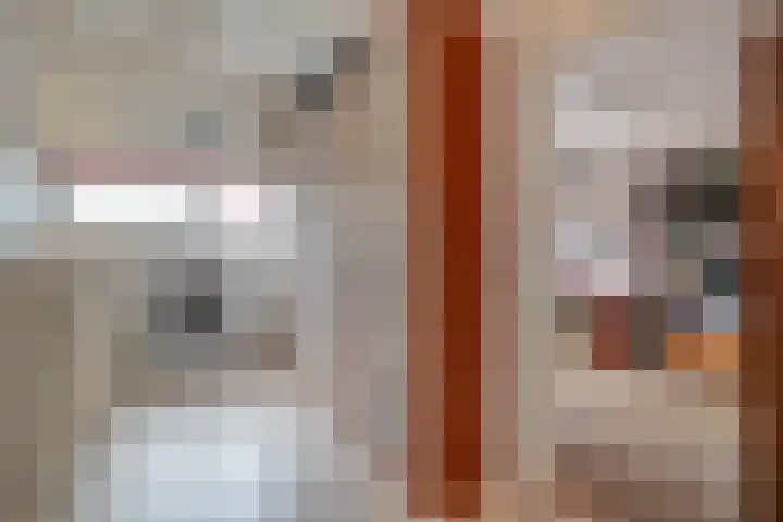 Sterrenkroos 5 Zwolle thumbnail 34