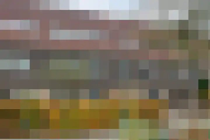 Sterrenkroos 5 Zwolle thumbnail 4