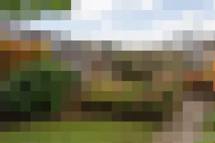Sterrenkroos 5 Zwolle thumbnail 42
