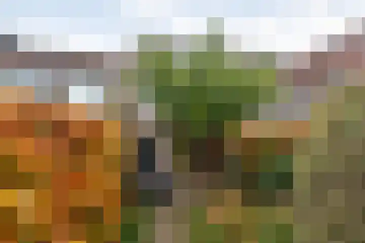Sterrenkroos 5 Zwolle thumbnail 43