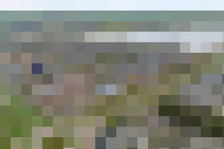 Sterrenkroos 5 Zwolle thumbnail 48