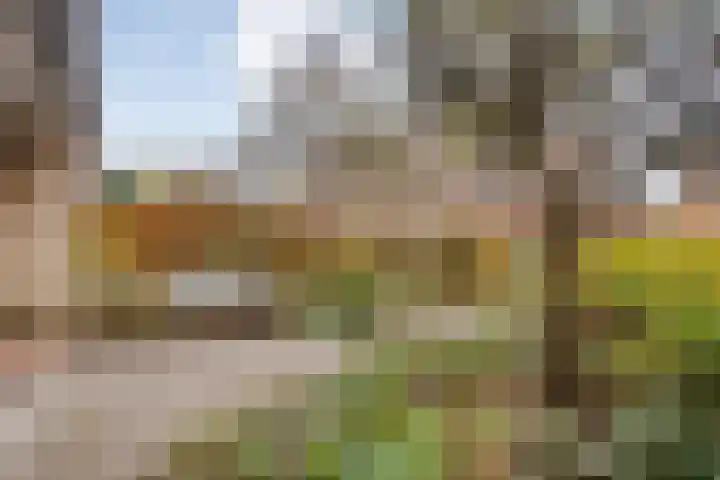 Sterrenkroos 5 Zwolle thumbnail 8