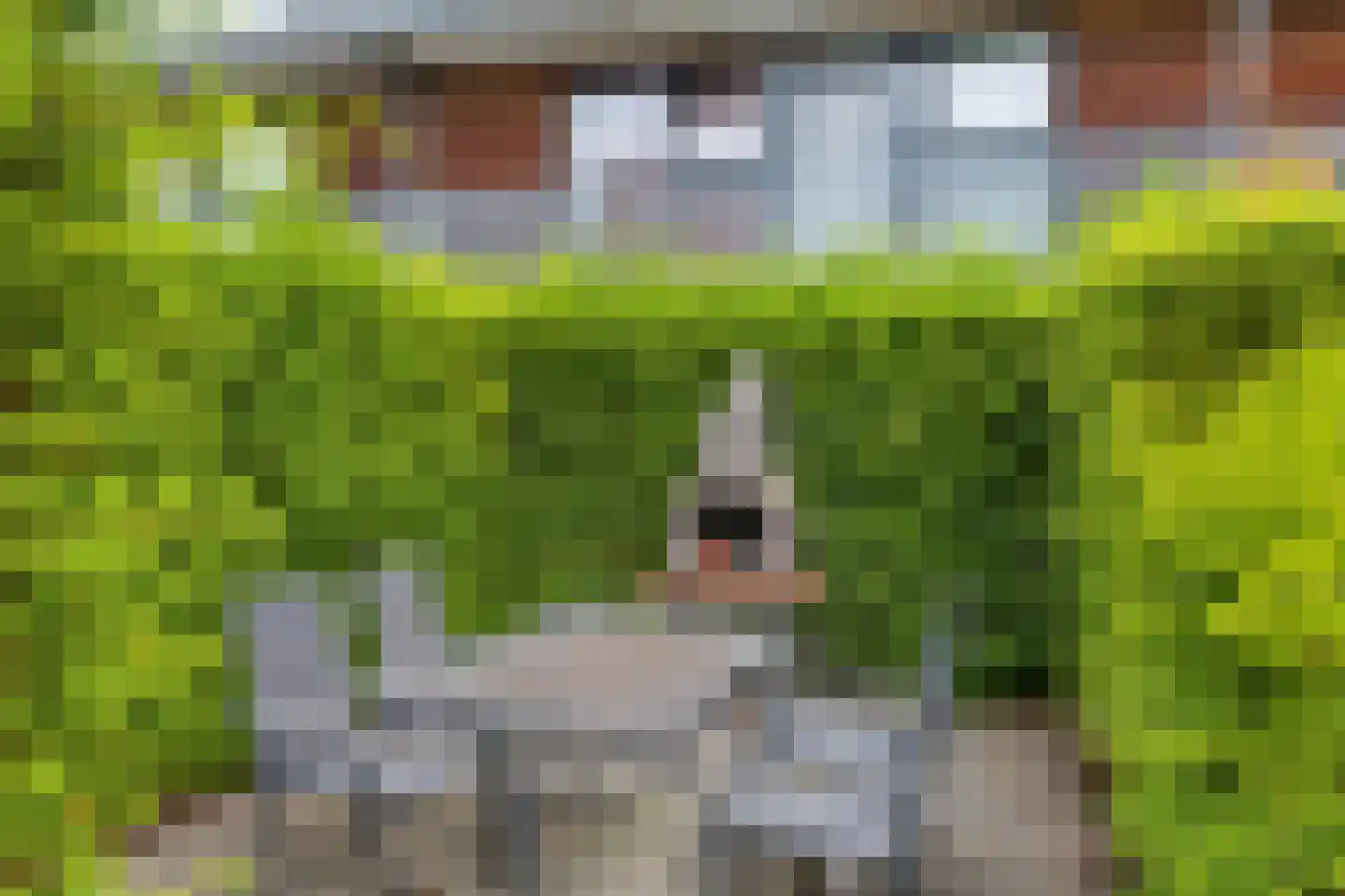Sterrenkroos 62 Breda thumbnail 34