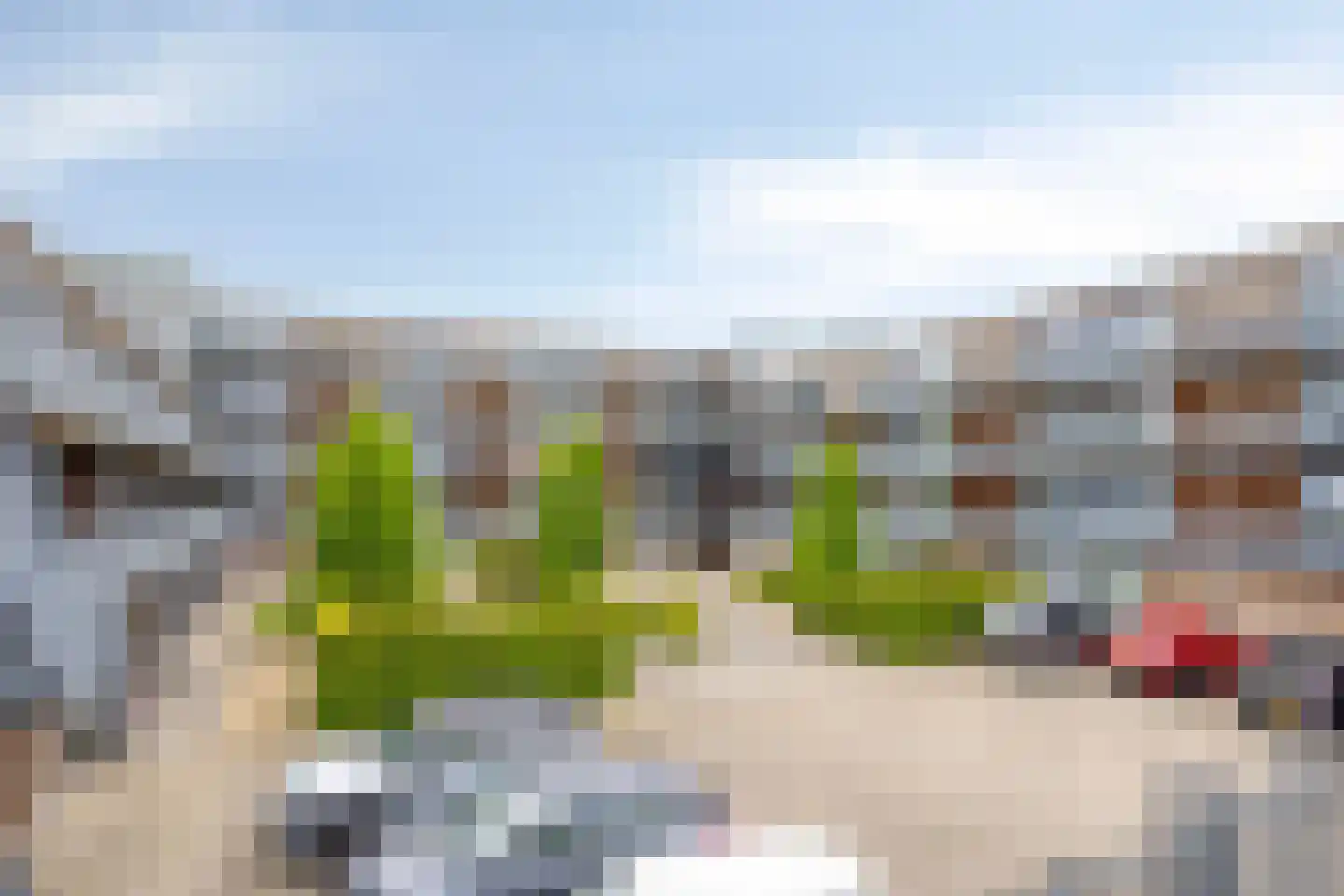 Sterrenkroos 90 Breda thumbnail 26