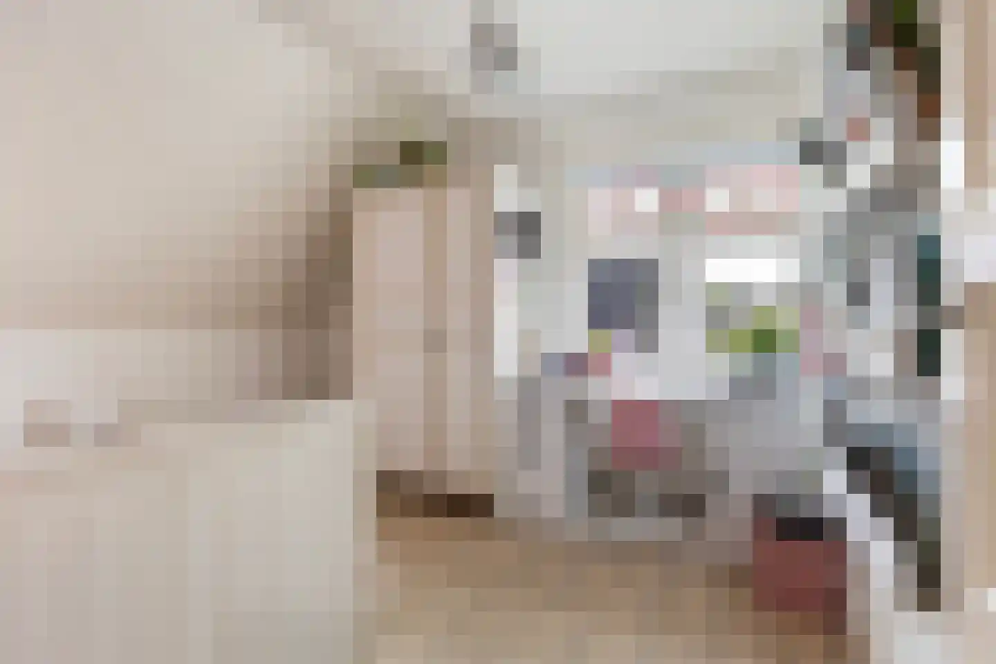 Sterrenlaan 10 Apeldoorn thumbnail 42