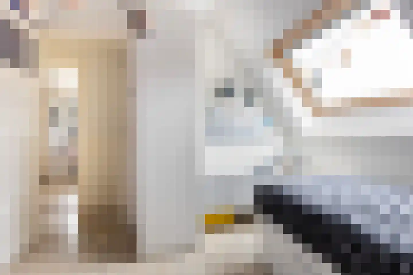 Sterrenlaan 10 Apeldoorn thumbnail 47