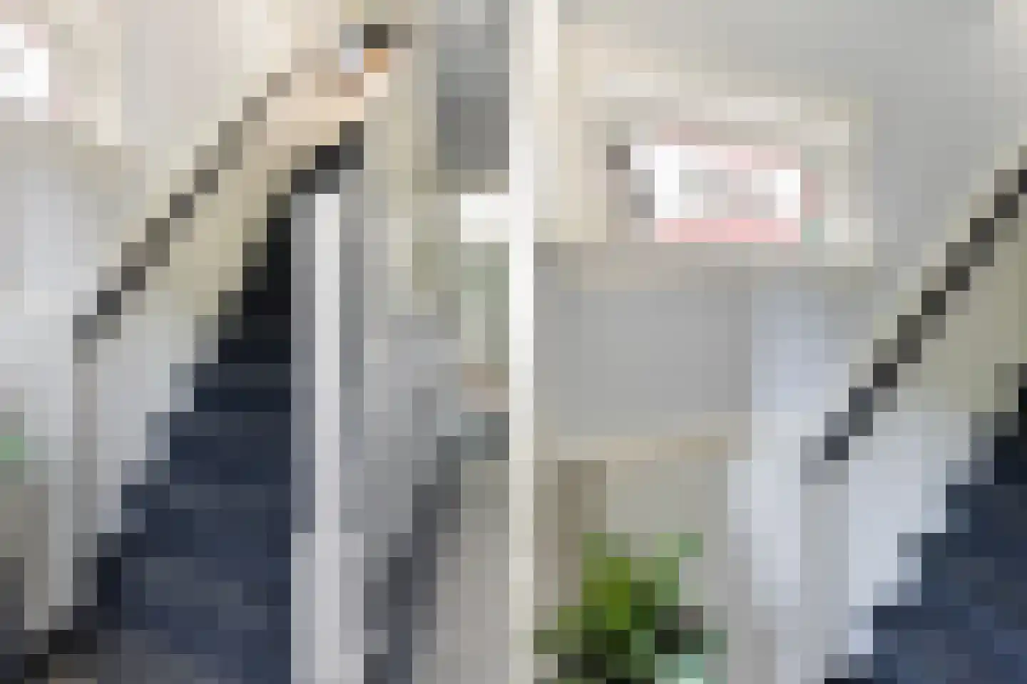 Sterrenlaan 10 Apeldoorn thumbnail 7