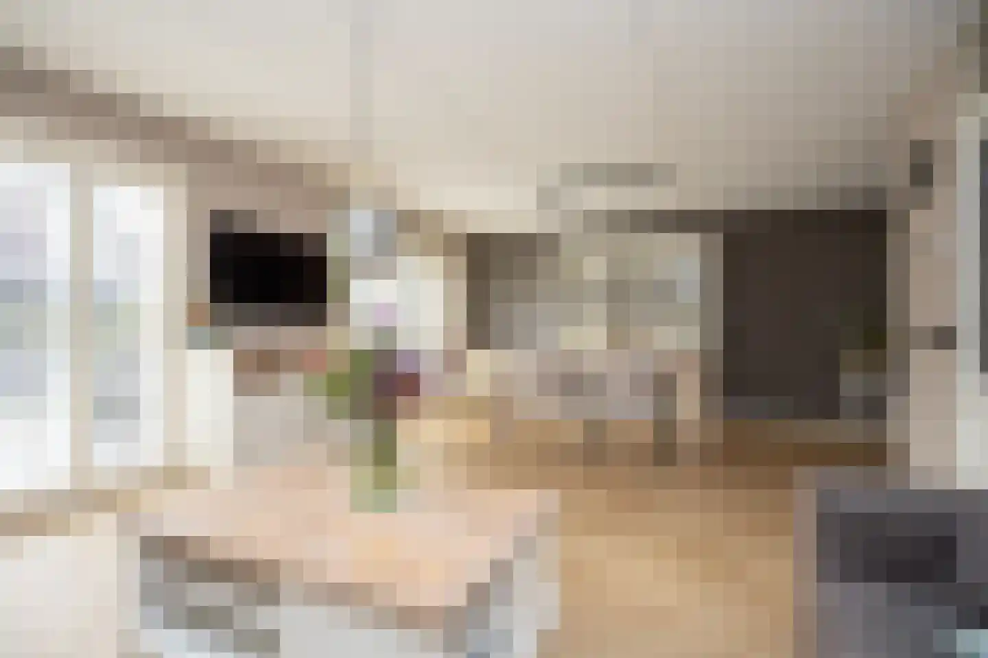 Sterrenlaan 112 Bleiswijk thumbnail 16