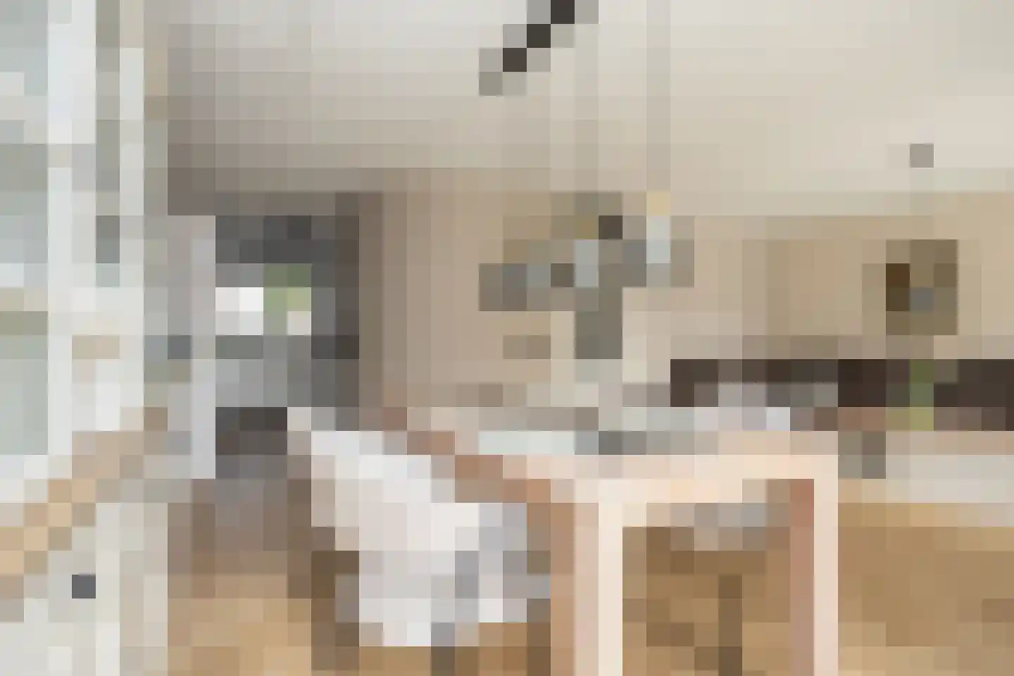 Sterrenlaan 112 Bleiswijk thumbnail 20