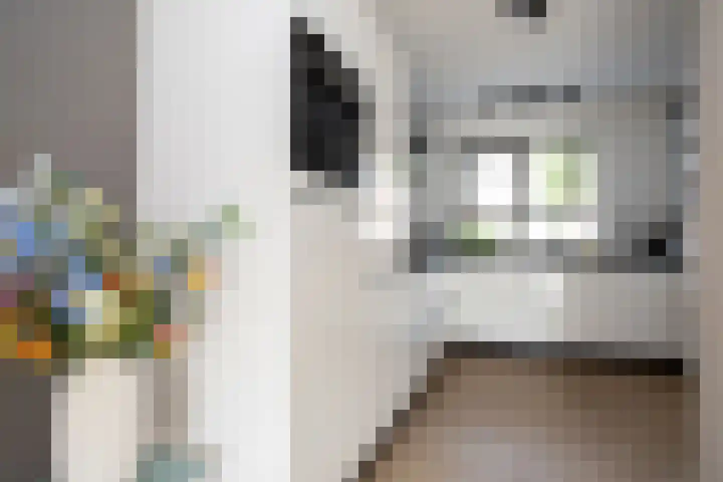 Sterrenlaan 112 Bleiswijk thumbnail 21