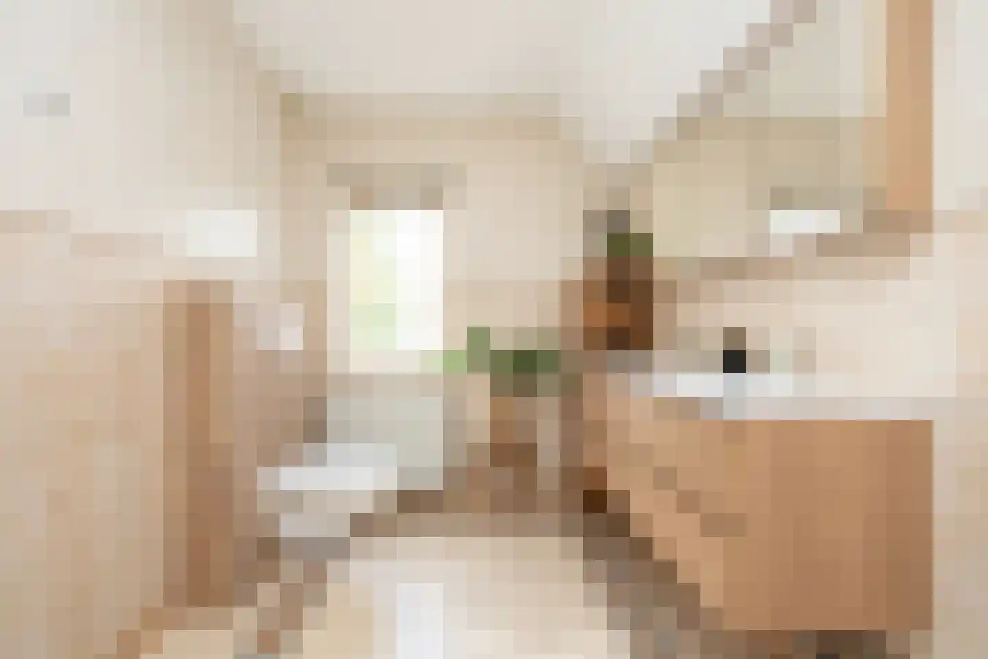 Sterrenlaan 112 Bleiswijk thumbnail 32