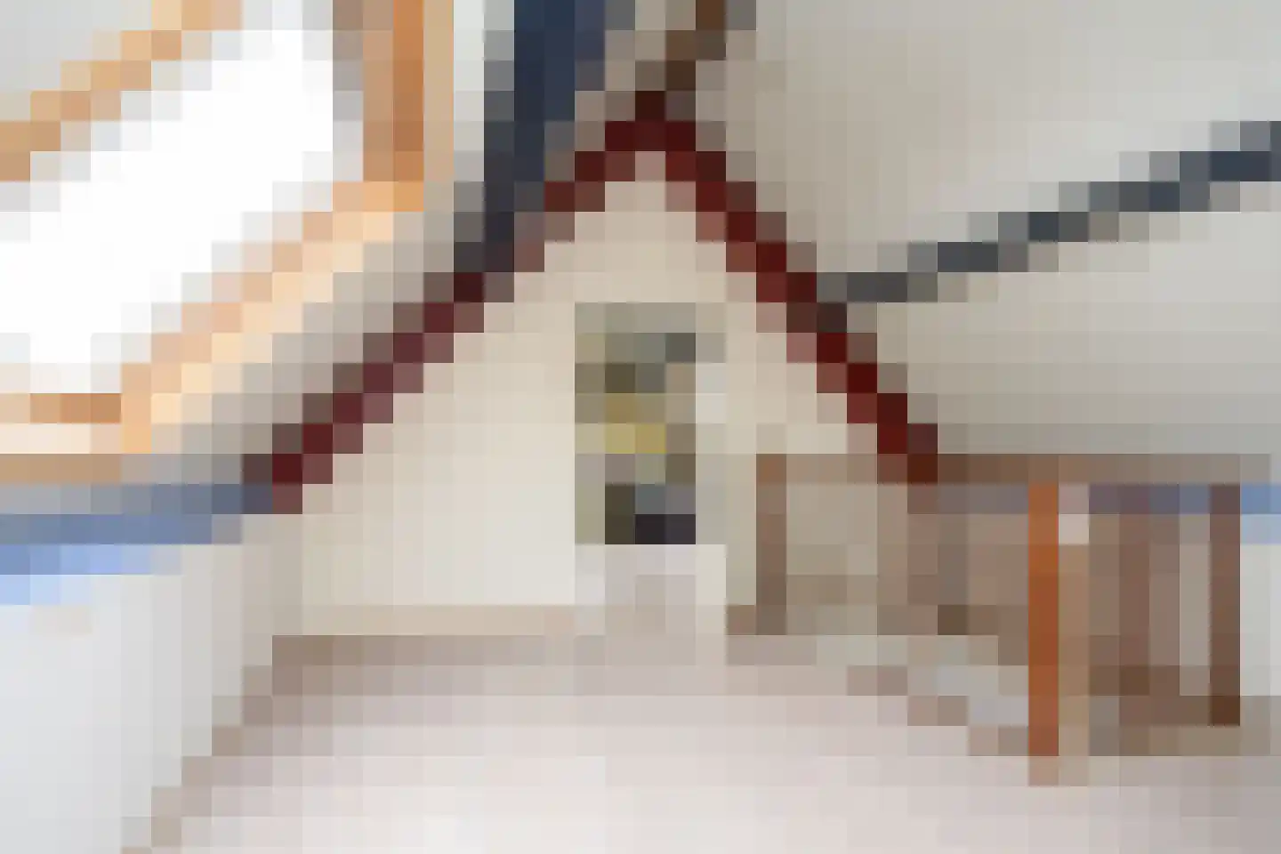 Sterrenlaan 112 Bleiswijk thumbnail 36