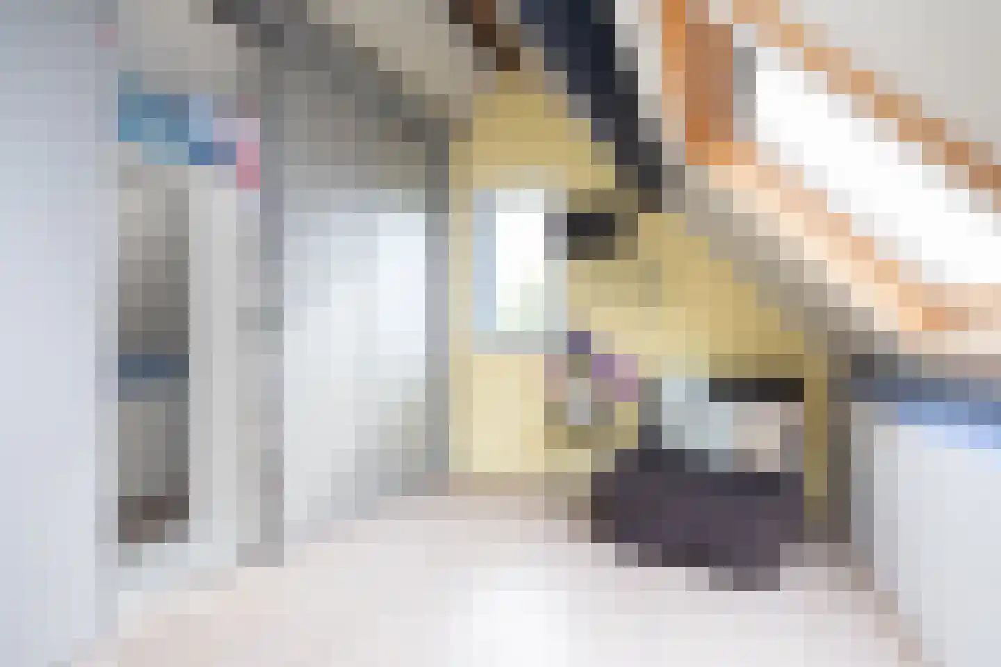 Sterrenlaan 112 Bleiswijk thumbnail 37