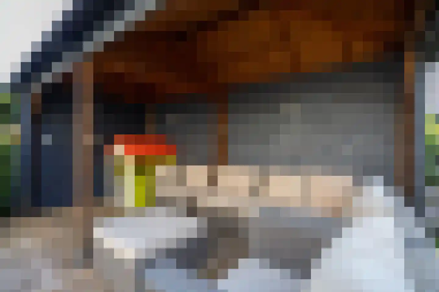 Sterrenlaan 112 Bleiswijk thumbnail 45