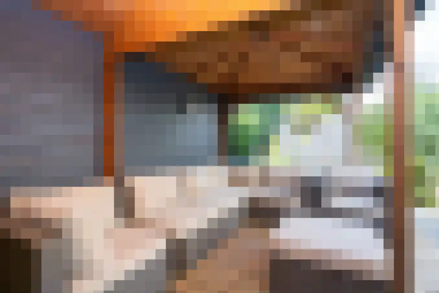 Sterrenlaan 112 Bleiswijk thumbnail 47