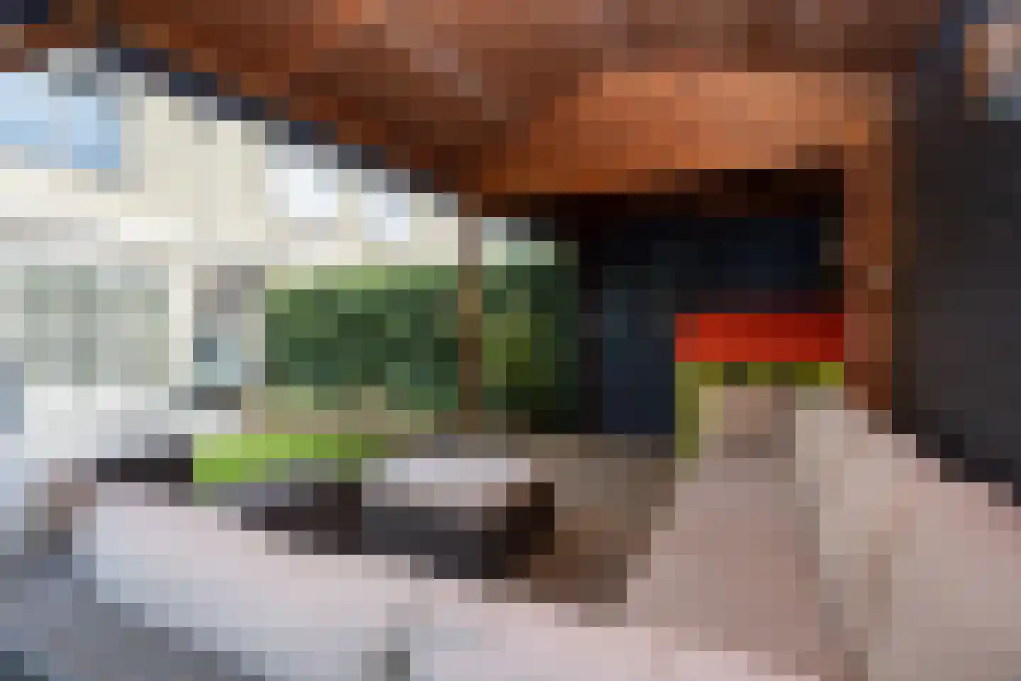Sterrenlaan 112 Bleiswijk thumbnail 48