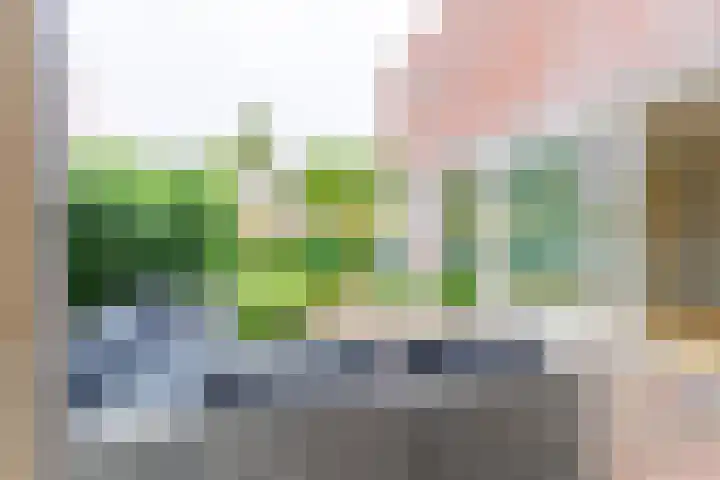 Sterrenlaan 14 C Apeldoorn thumbnail 18