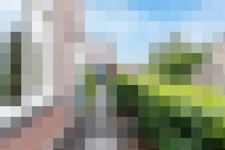 Sterrenlaan 14 C Apeldoorn thumbnail 21