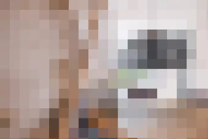 Sterrenlaan 142 Waddinxveen thumbnail 11