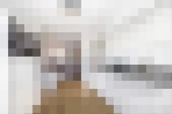 Sterrenlaan 142 Waddinxveen thumbnail 13