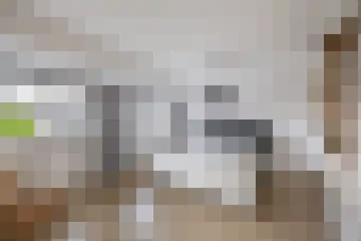Sterrenlaan 142 Waddinxveen thumbnail 17