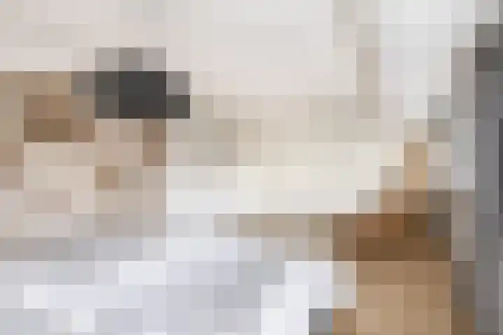 Sterrenlaan 142 Waddinxveen thumbnail 18