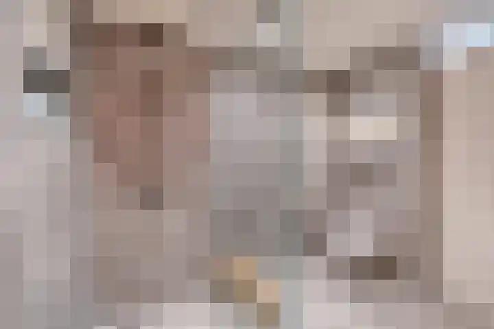 Sterrenlaan 142 Waddinxveen thumbnail 19