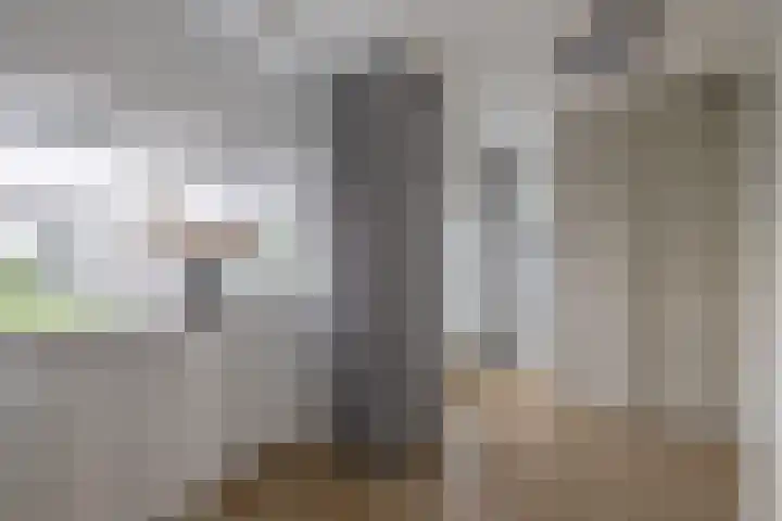 Sterrenlaan 142 Waddinxveen thumbnail 23