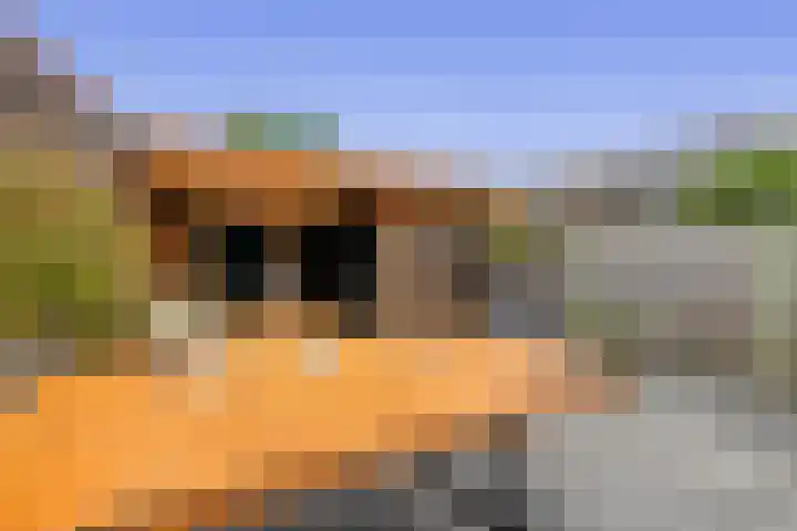 Sterrenlaan 142 Waddinxveen thumbnail 30