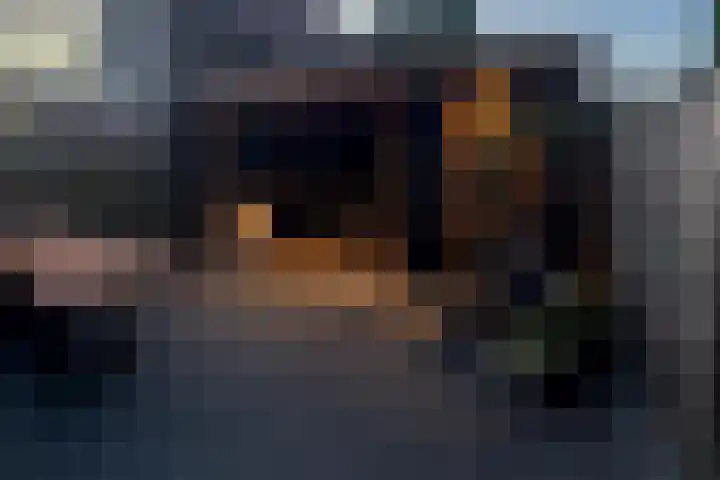 Sterrenlaan 142 Waddinxveen thumbnail 32
