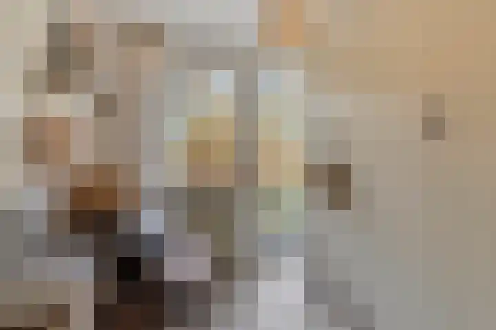 Sterrenlaan 144 Veldhoven thumbnail 31