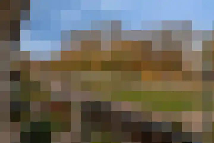 Sterrenlaan 144 Veldhoven thumbnail 32