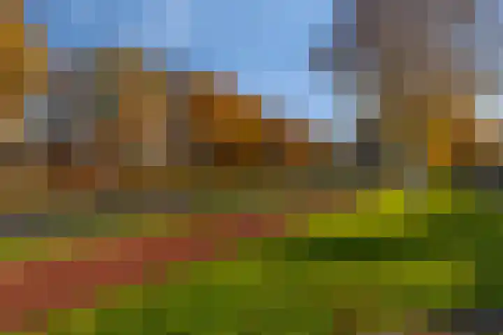 Sterrenlaan 144 Veldhoven thumbnail 40