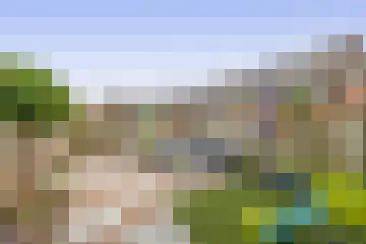 Sterrenlaan 144 Waddinxveen thumbnail 18
