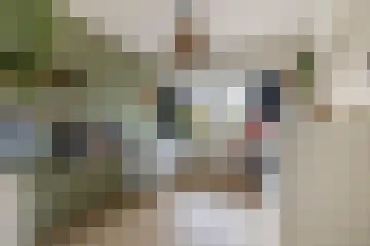 Sterrenlaan 144 Waddinxveen thumbnail 27