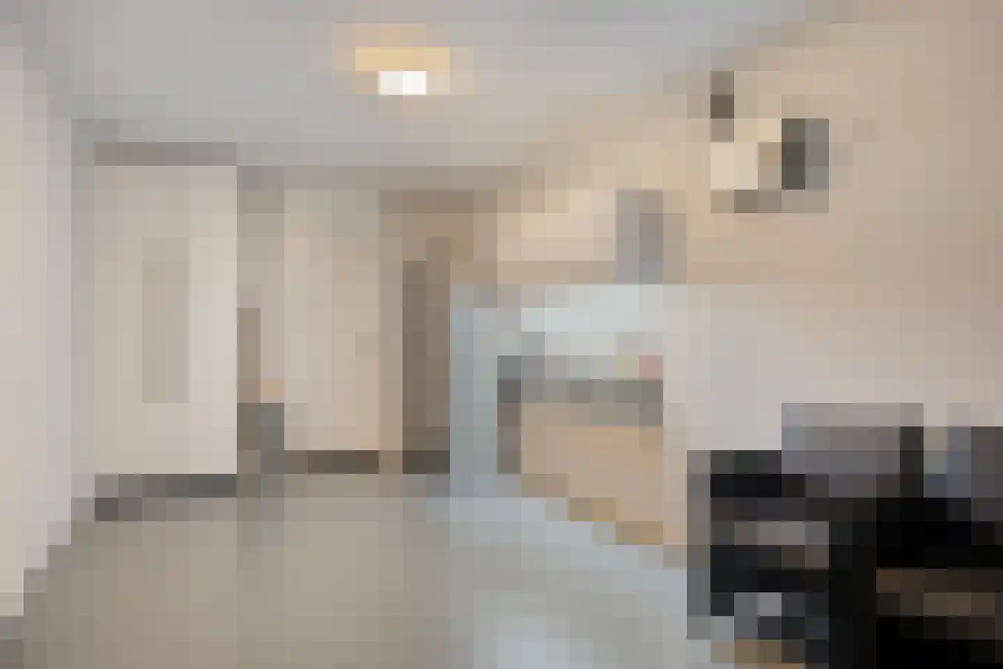 Sterrenlaan 21 Schijndel thumbnail 20