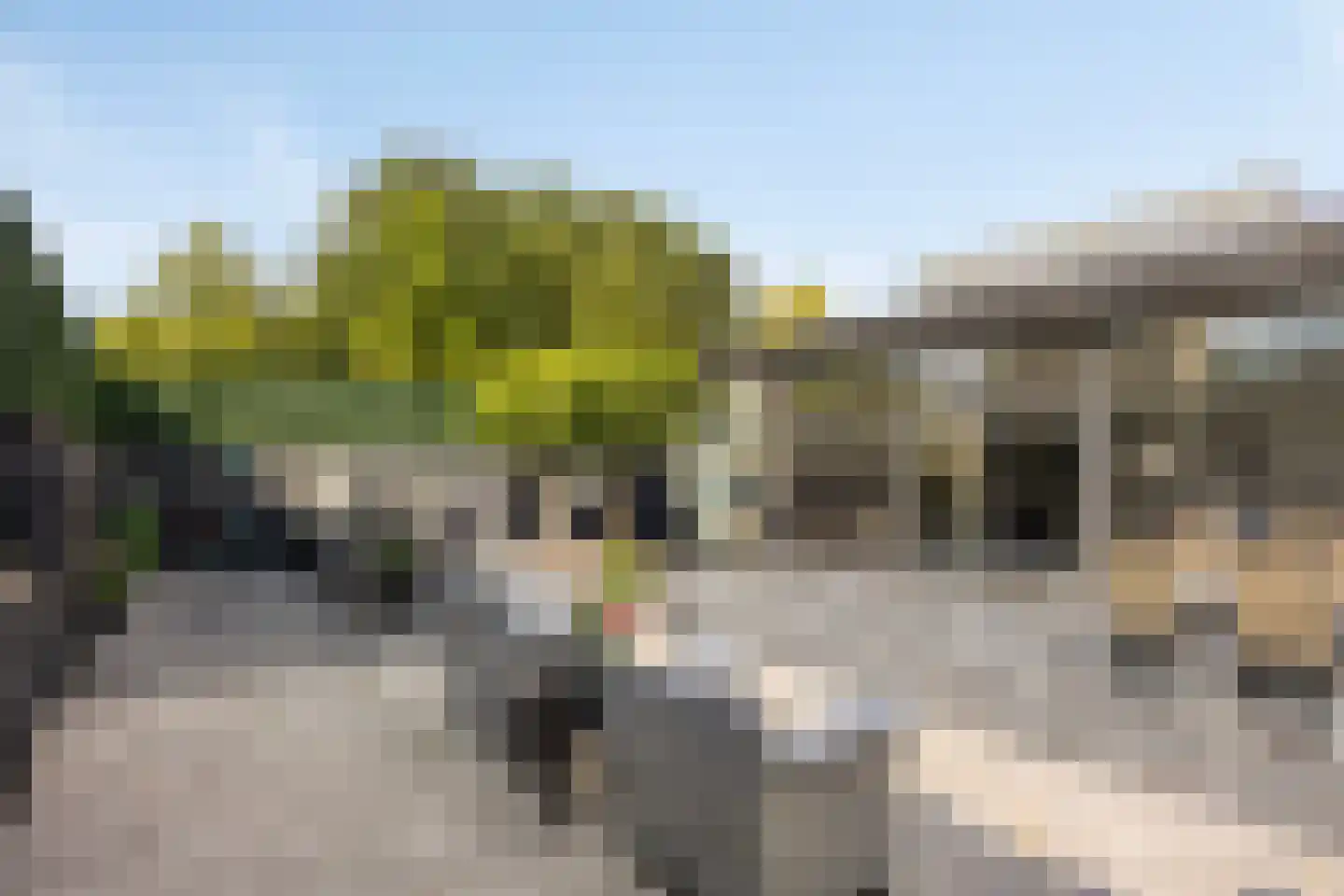 Sterrenlaan 21 Schijndel thumbnail 30